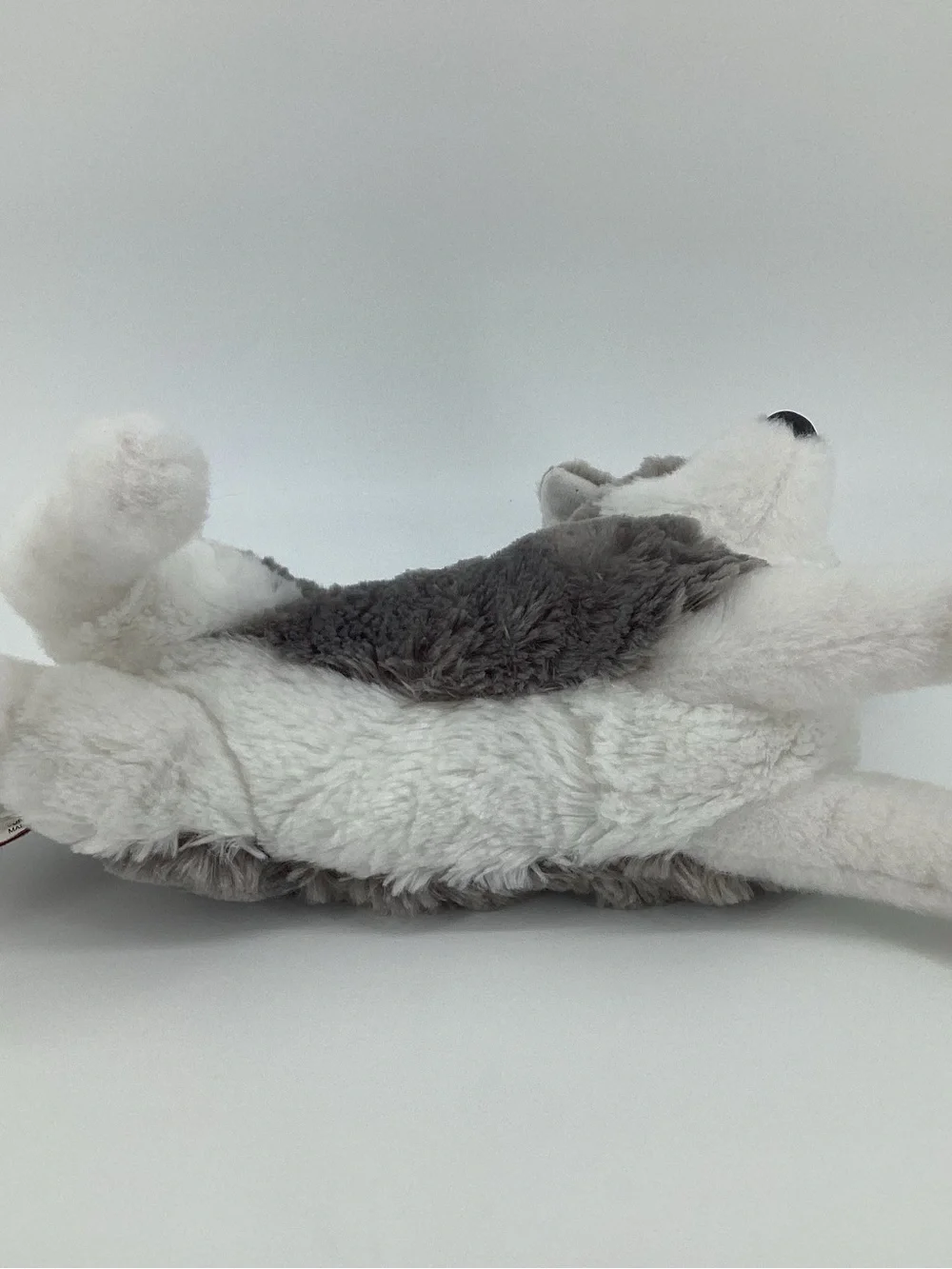 Douglas Husky Dog Plush #4327 Blue Eyes Puppy Laying Down Cuddle Toy Stuffed
